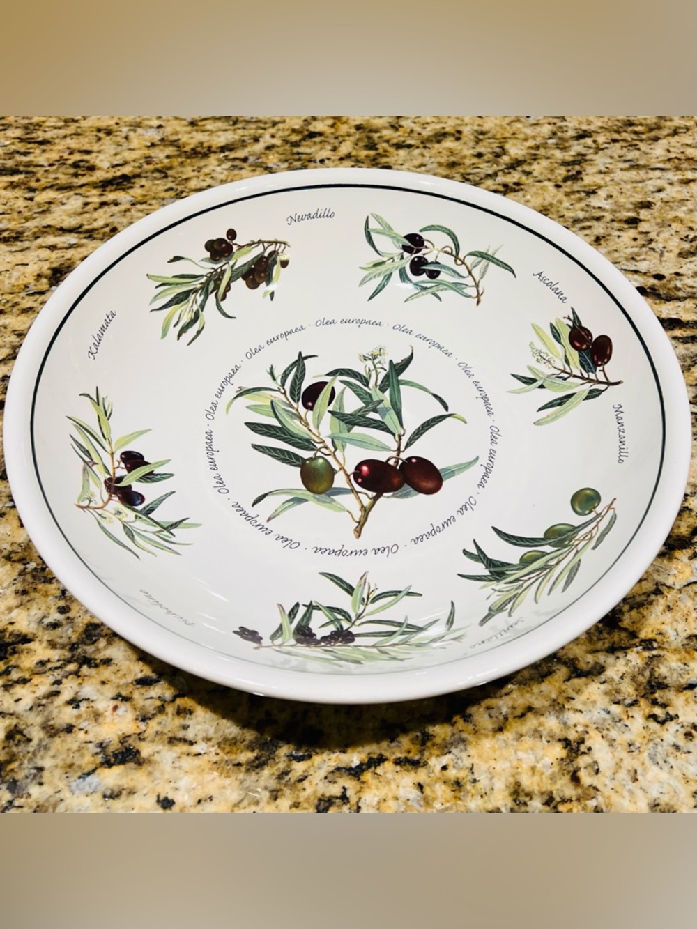 RETIRED Williams-Sonoma Olea Europaea Olive Pattern 13" Pasta Serving Bowl